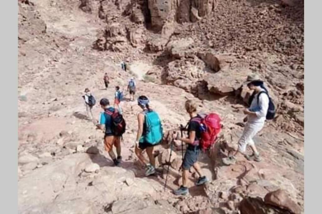 Bedouin Nature Travels 瓦迪穆萨 外观 照片