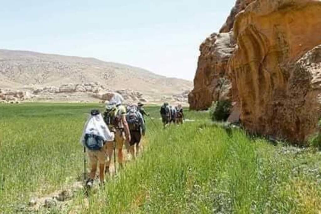 Bedouin Nature Travels 瓦迪穆萨 外观 照片
