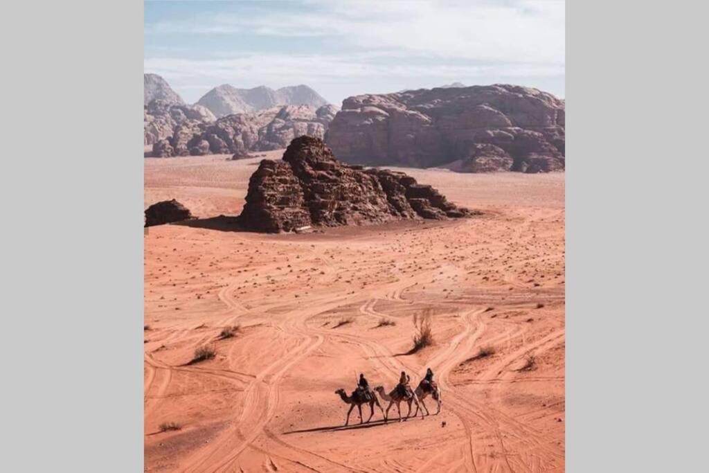Bedouin Nature Travels 瓦迪穆萨 外观 照片