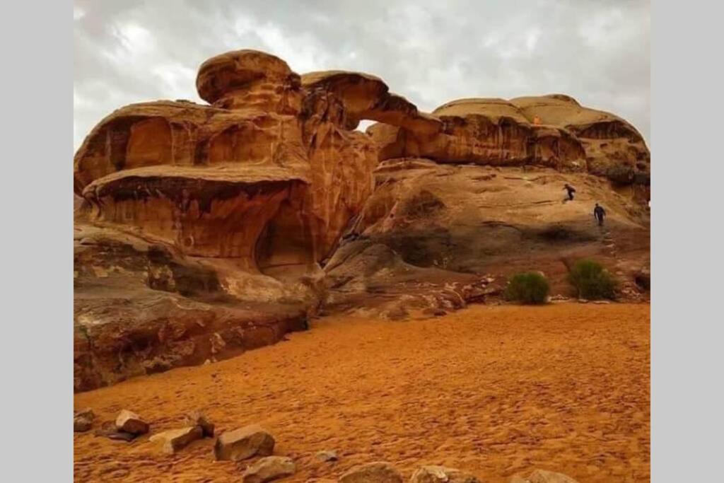 Bedouin Nature Travels 瓦迪穆萨 外观 照片