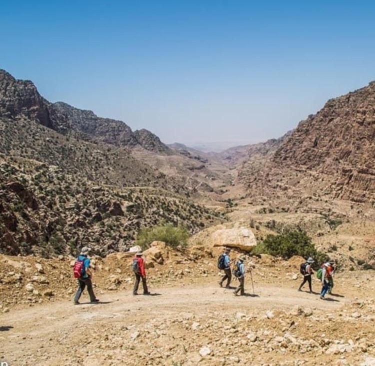 Bedouin Nature Travels 瓦迪穆萨 外观 照片
