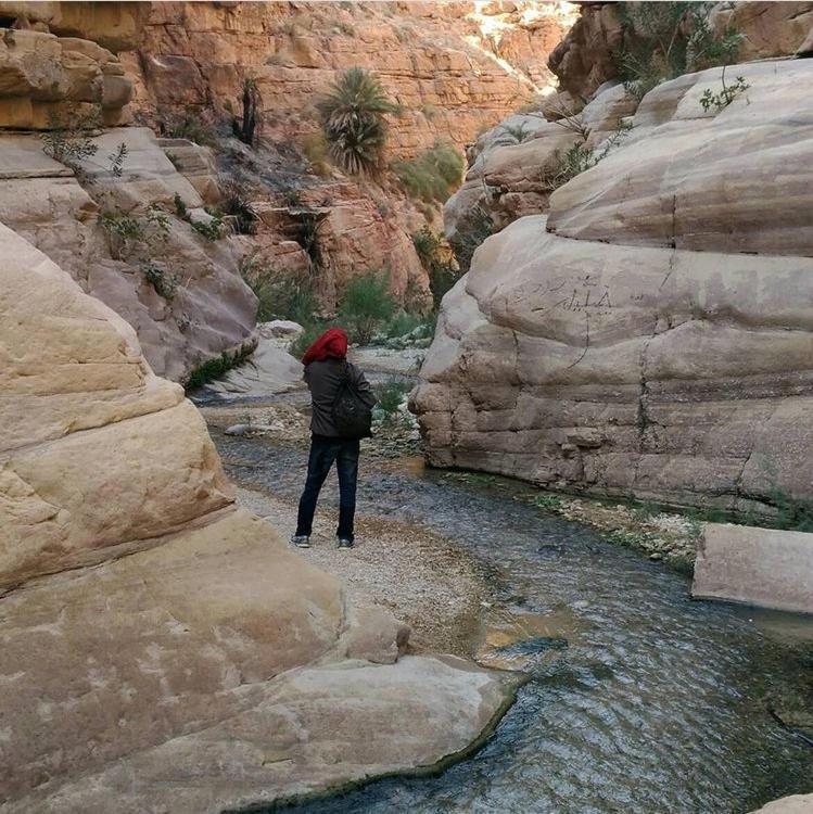 Bedouin Nature Travels 瓦迪穆萨 外观 照片