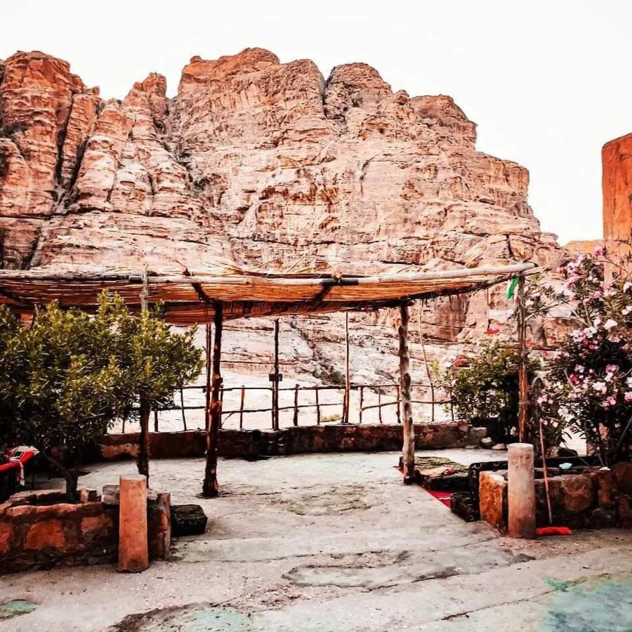 Bedouin Nature Travels 瓦迪穆萨 外观 照片