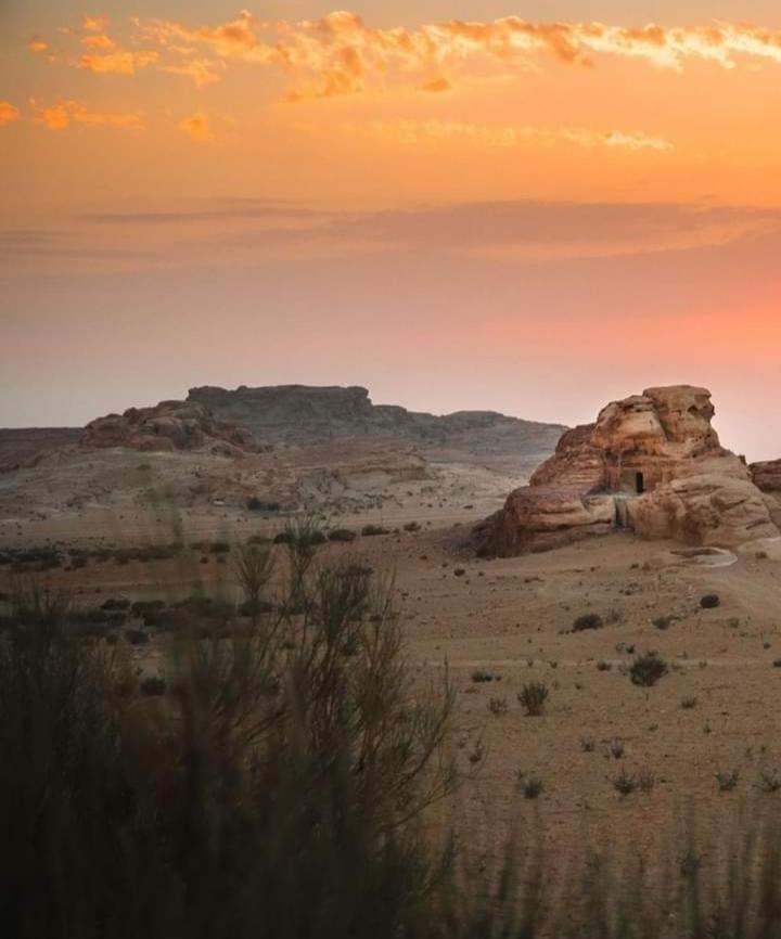 Bedouin Nature Travels 瓦迪穆萨 外观 照片