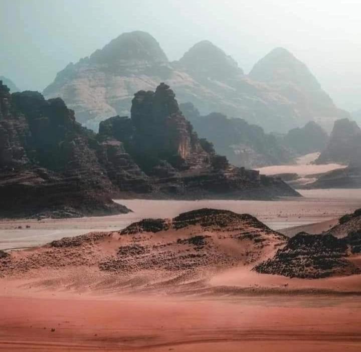 Bedouin Nature Travels 瓦迪穆萨 外观 照片