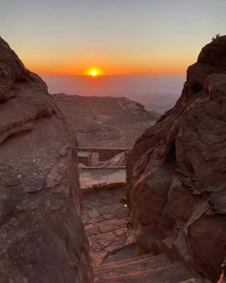 Bedouin Nature Travels 瓦迪穆萨 外观 照片