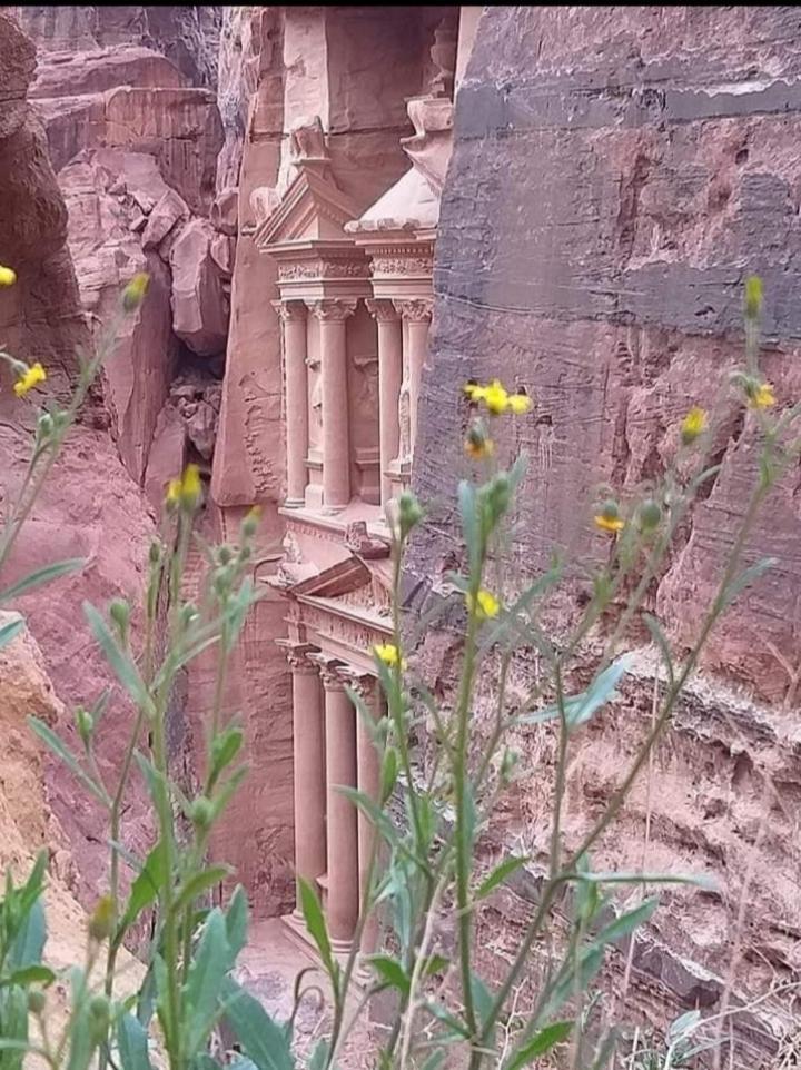 Bedouin Nature Travels 瓦迪穆萨 外观 照片