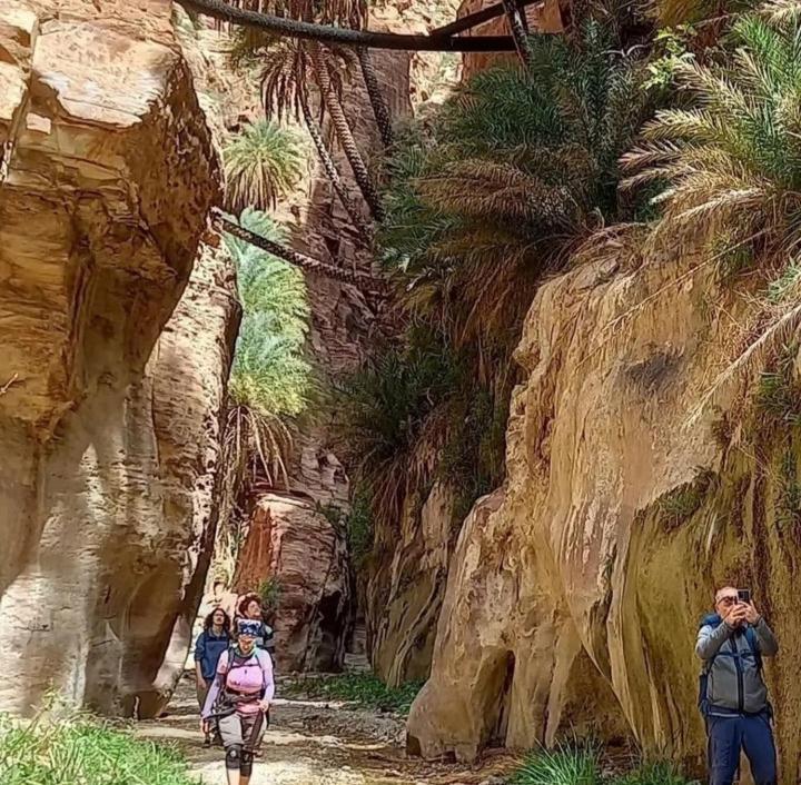Bedouin Nature Travels 瓦迪穆萨 外观 照片