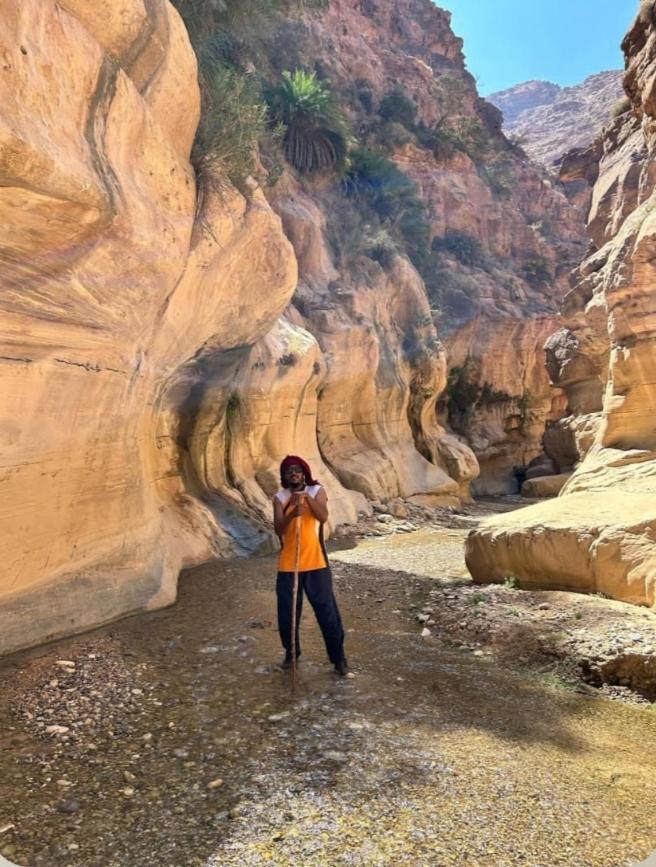 Bedouin Nature Travels 瓦迪穆萨 外观 照片